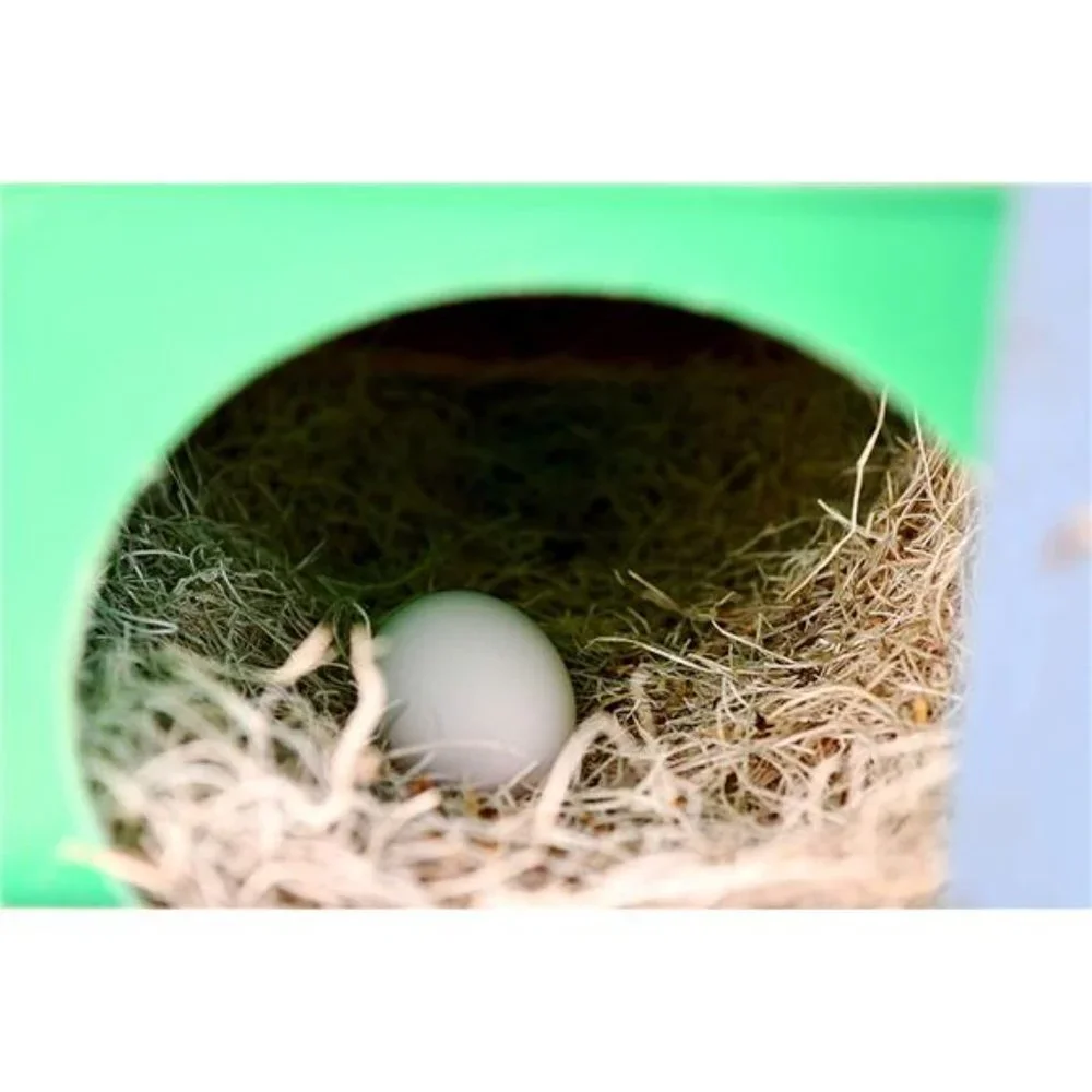 Chicken Nesting Pads | Poultry Bedding Nest Liner | 13 x 13 Inches | Pack of 10